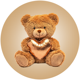 Teddy Soft Toys