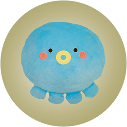 Cushions Toy